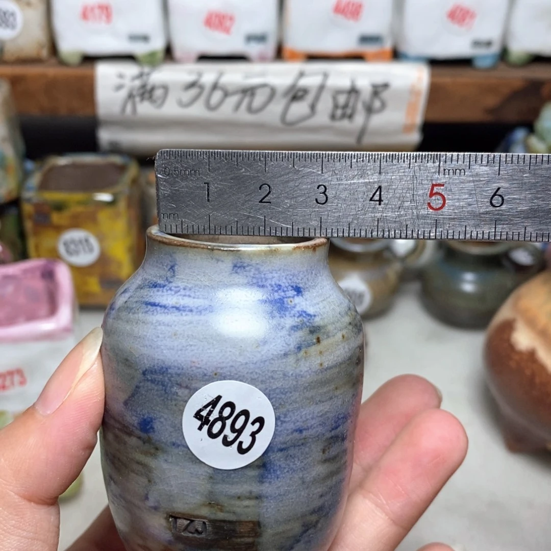 拍5送一个小礼物