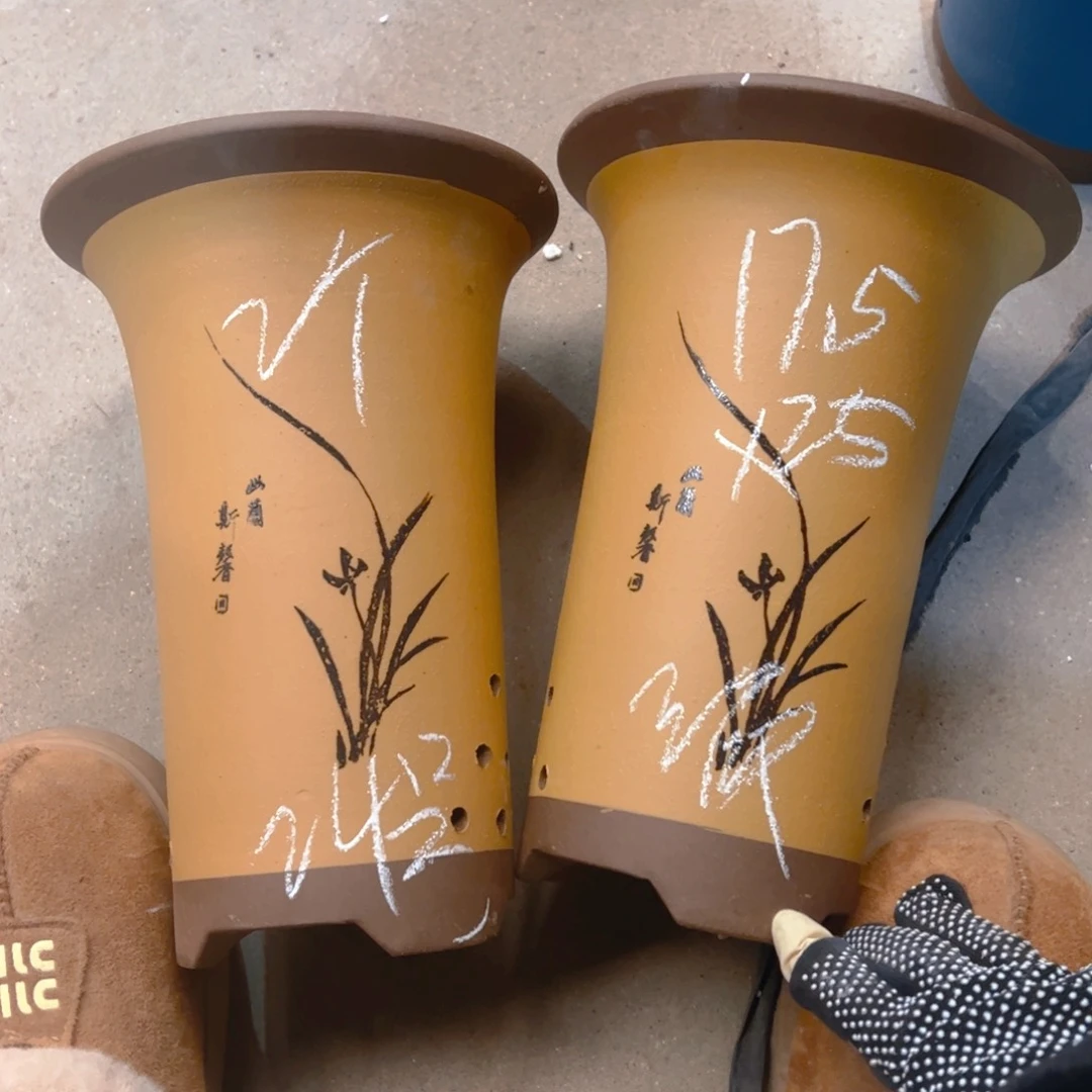 紫砂24…………………………………………