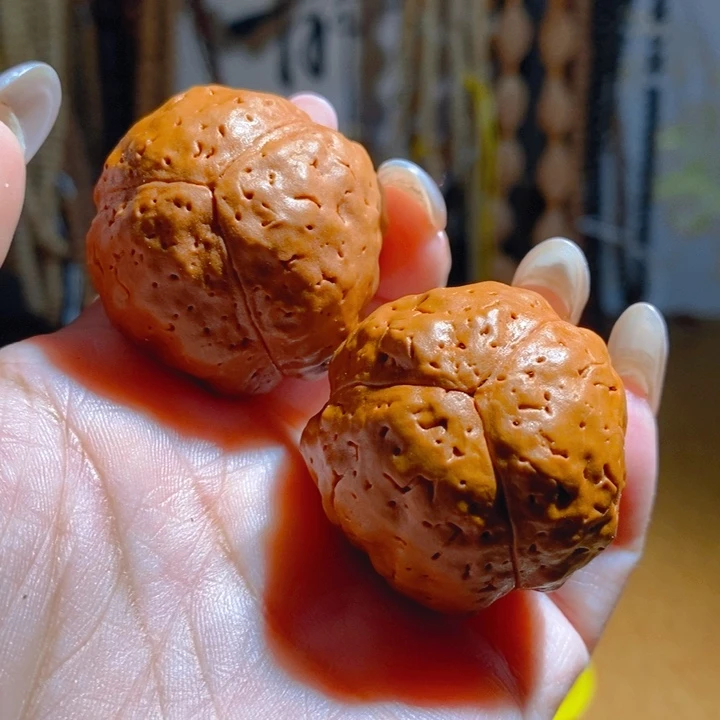 野生三瓣大金刚光头强3639