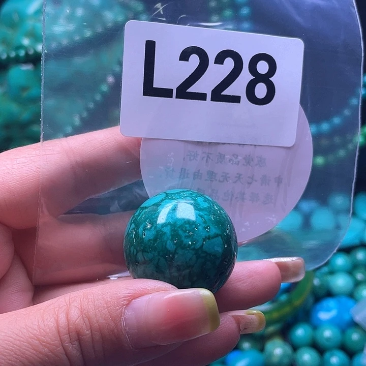 空竹粉丝福利专享