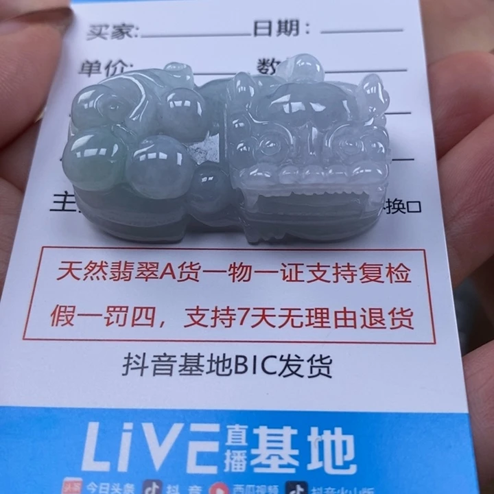 Z***t翡翠未镶嵌颈饰多人貔貅