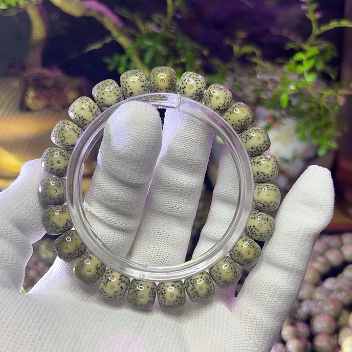 星月菩提手串海南原生态