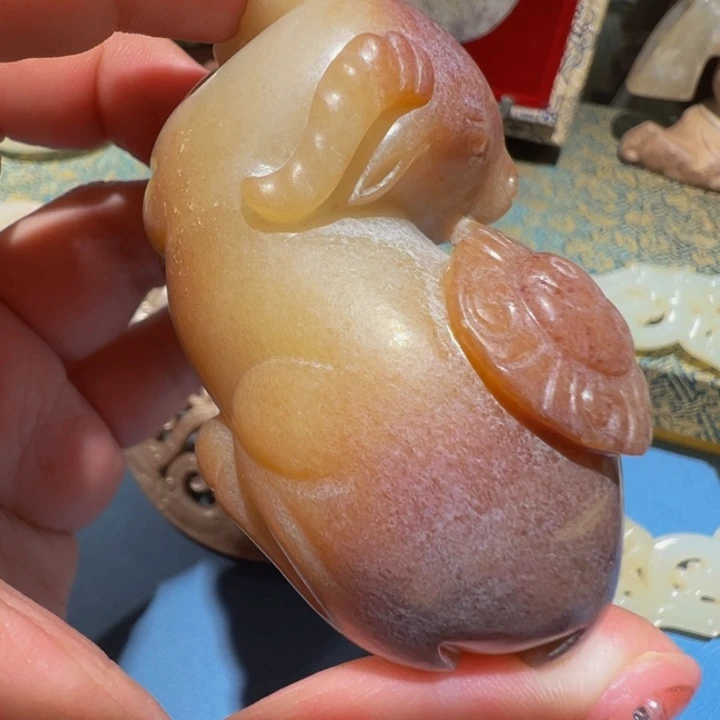 阿***丁勒子勒子勒子勒勒子勒子