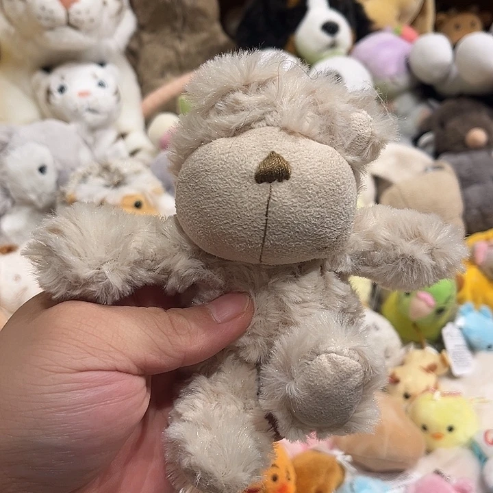 毛绒玩偶颗粒哈哈哈哈哈
