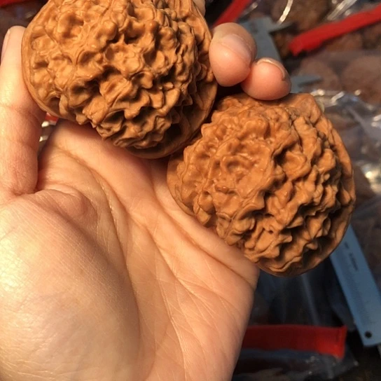 文玩核桃吊坠炙***柿官帽53