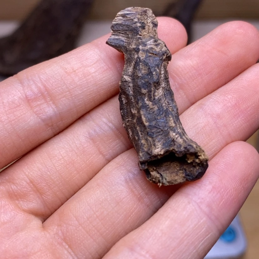 【闪购商品】沉水鸡母虫1.82克