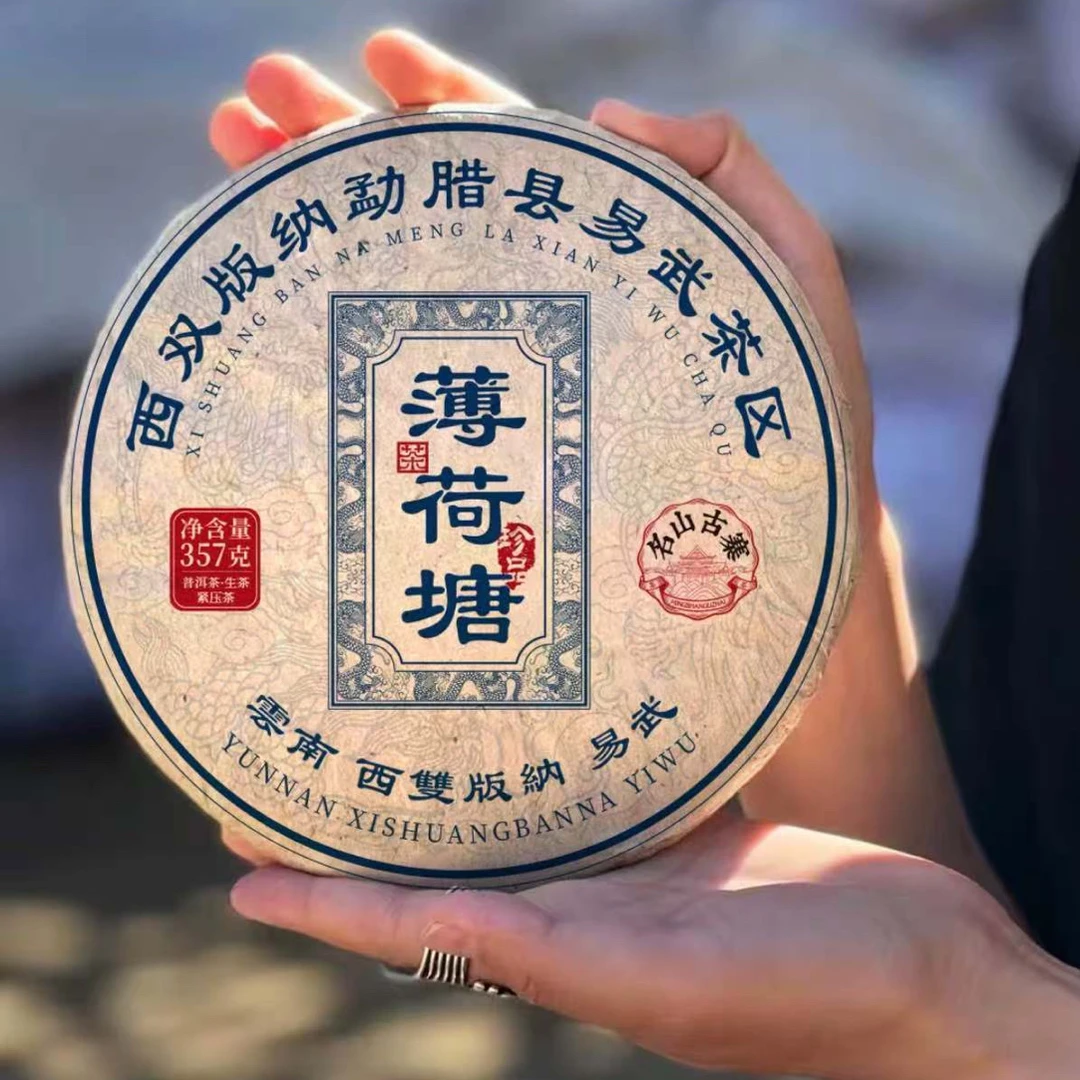 名山古寨 薄荷塘 云南普洱生茶