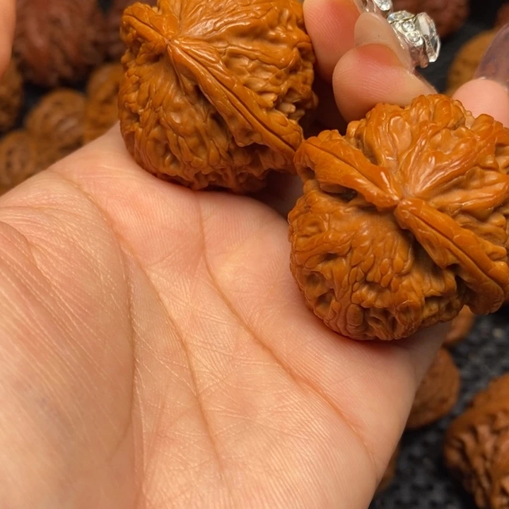 秦岭野生00000000043