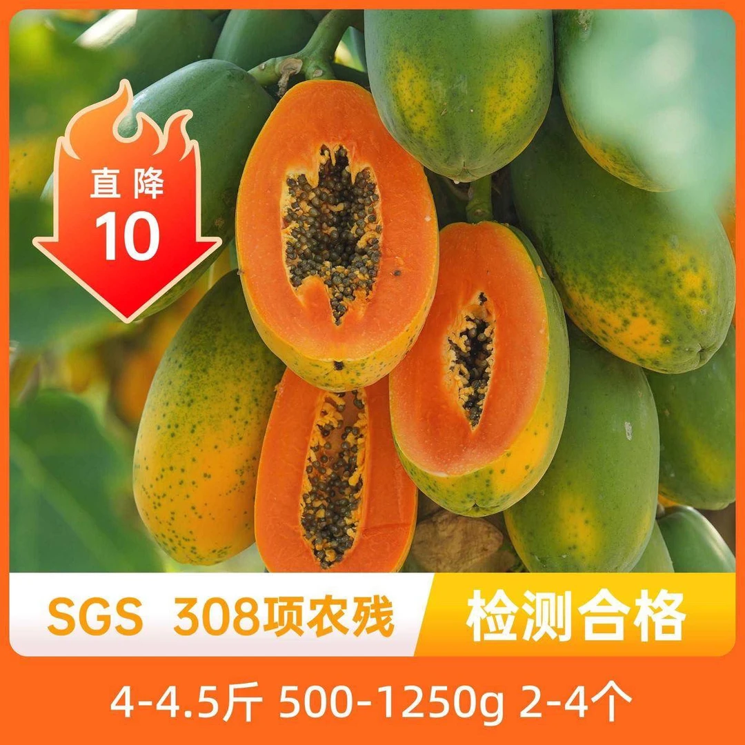 海南红心木瓜树上熟新鲜水果应季现摘炖汤煲汤牛奶木瓜香甜可口
