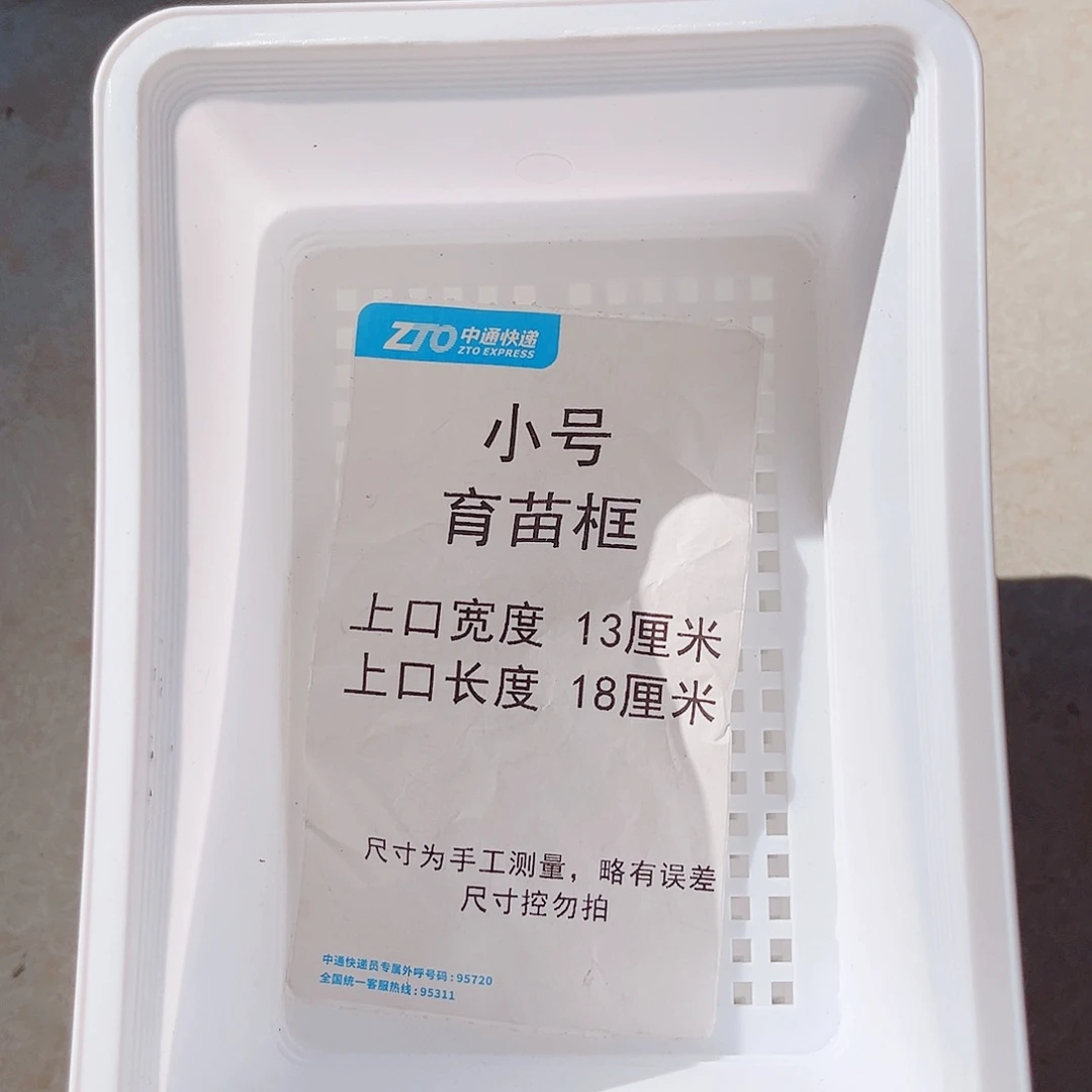 塑料小号育苗框白色10个