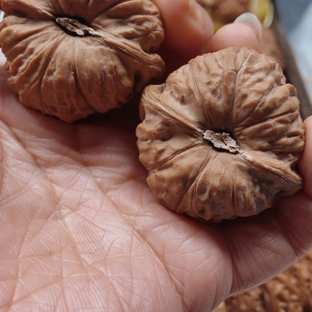 文玩核桃手串南瓜顿43