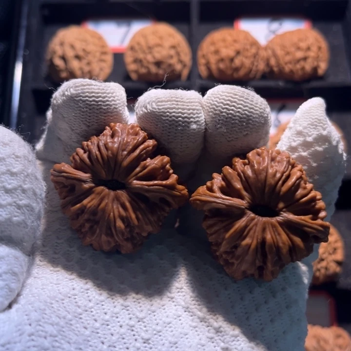 可***求桃核吊坠11秦皇岛山地果全品