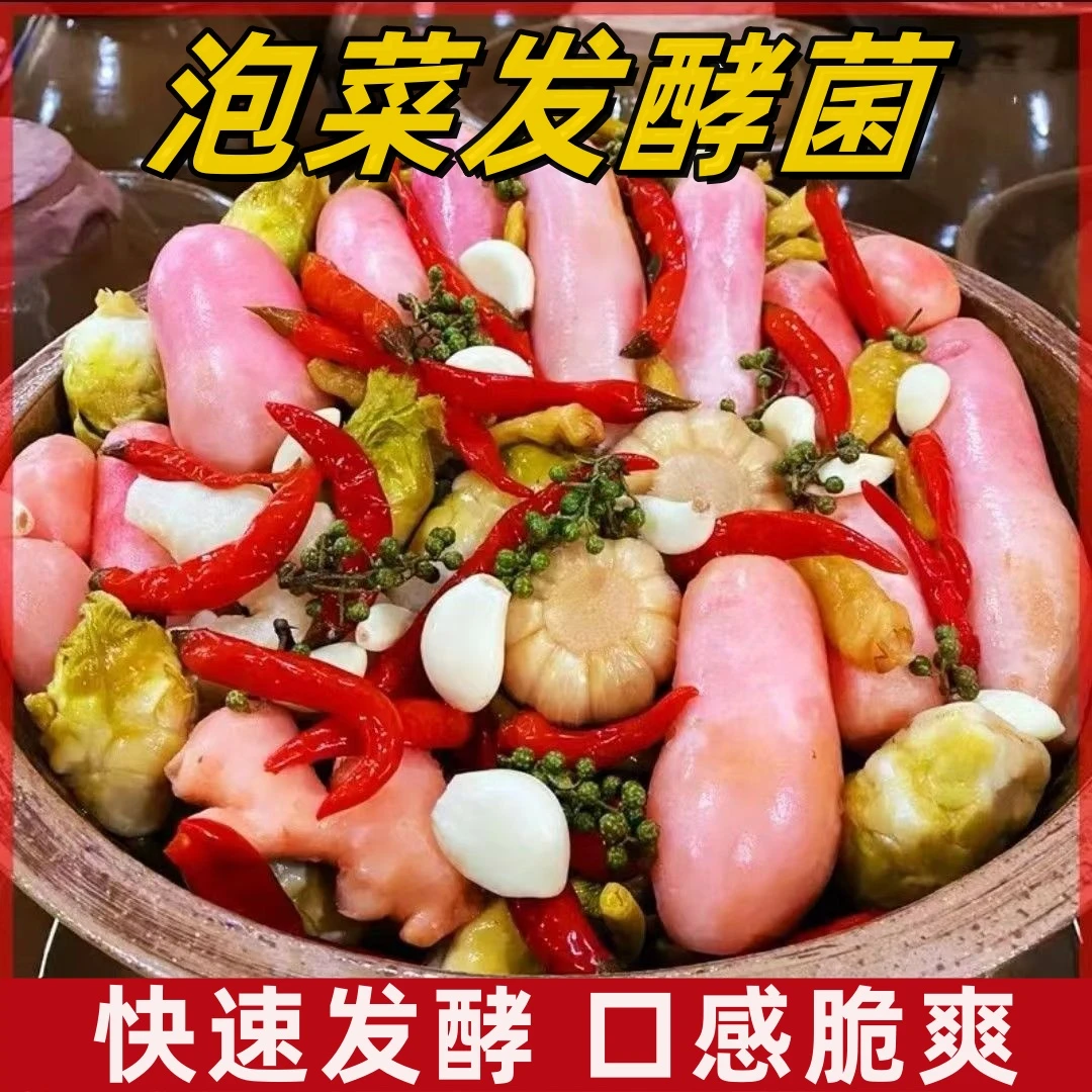 J 东北四川泡菜发酵菌酸菜乳酸菌家用自制韩式食用酸菜泡菜发酵.