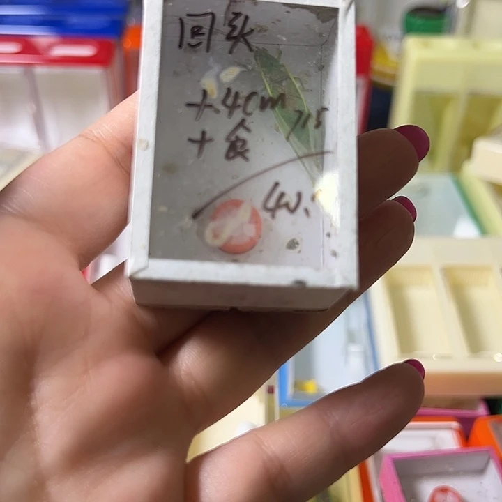 回***笑蟋蟀哈哈哈哈哈哈哈哈哈哈哈