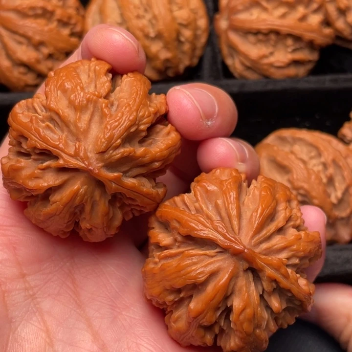 菩提籽类秦岭野生核桃文玩