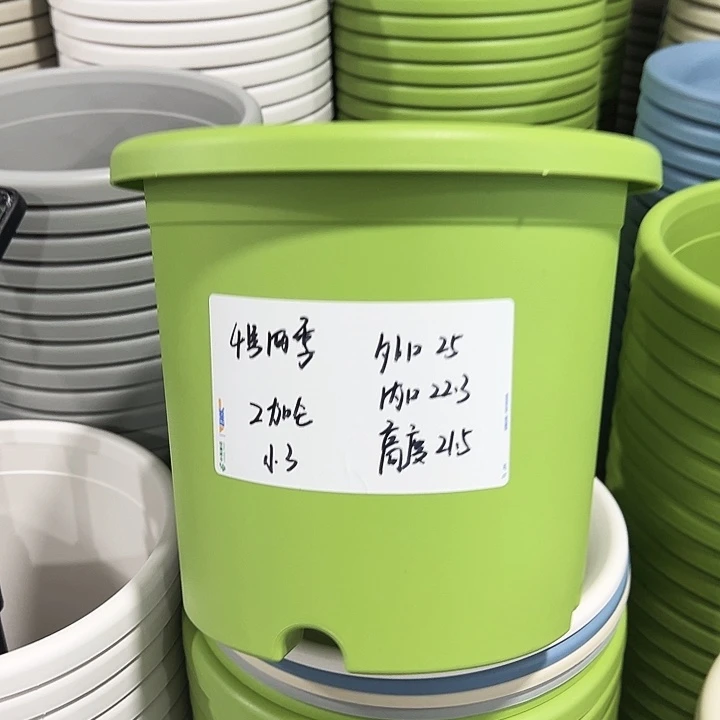 正品4号四季口25高21.5果绿无托8只