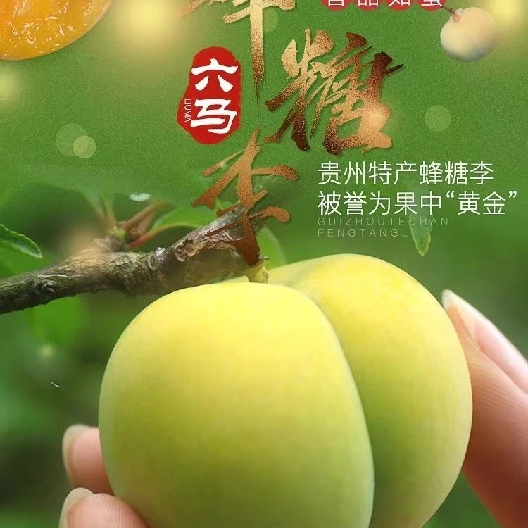 【贵州特产】蜂糖李果中“黄金”