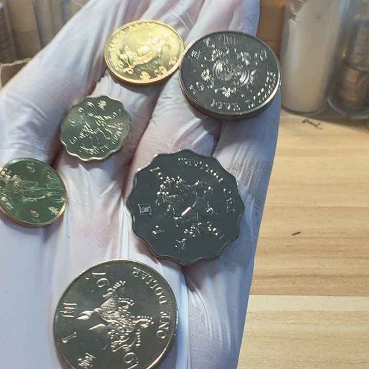 其他普通金属紫荆花套装6枚币