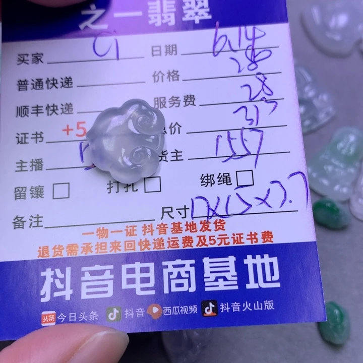 翡翠未镶嵌颈饰C**i