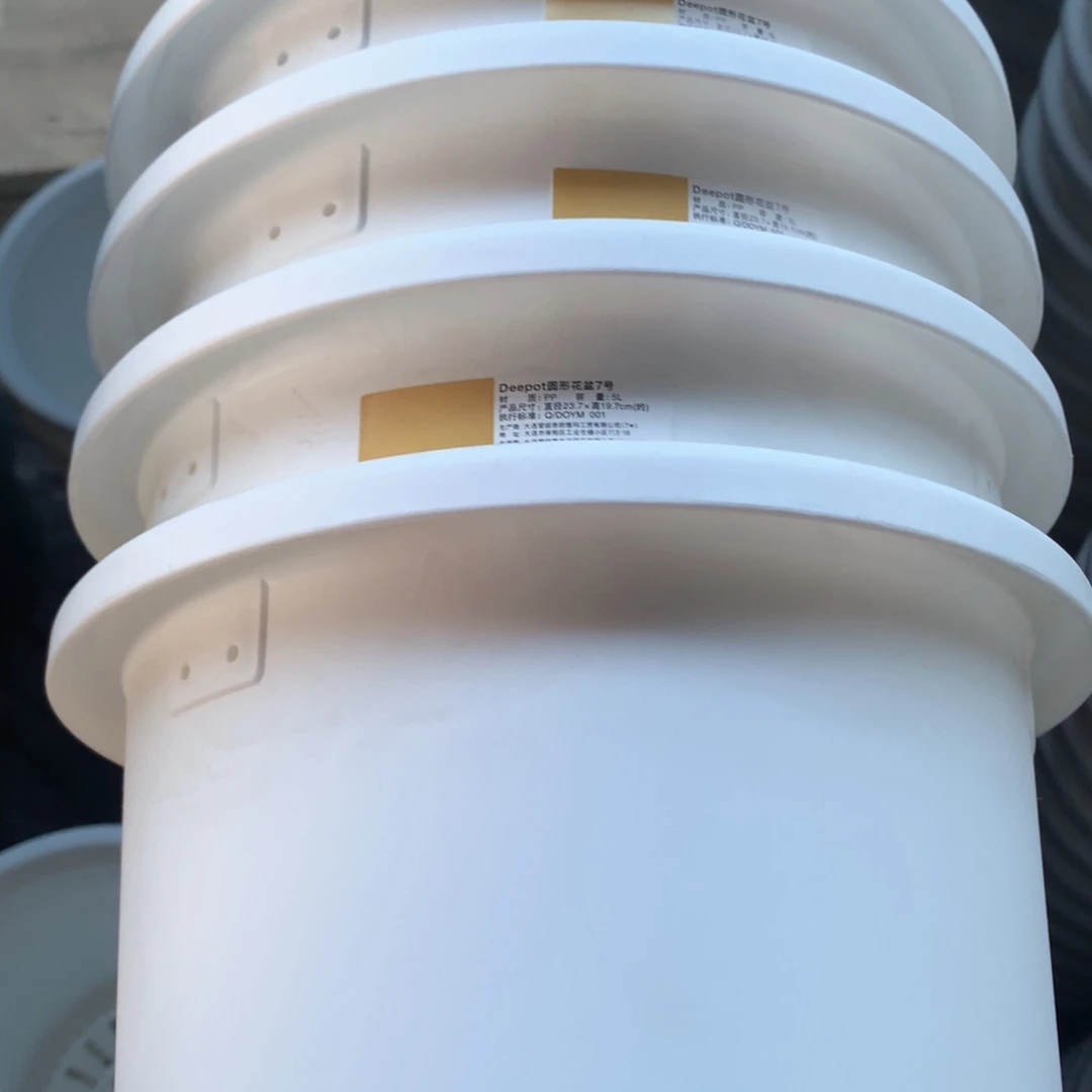 红陶23.7口爱丽丝白色无4个