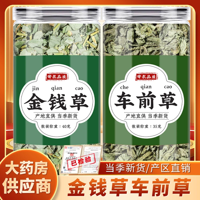 金钱草车前草茶中药材海金沙菊花枸杞胎菊中草药泡水的功效与作用
