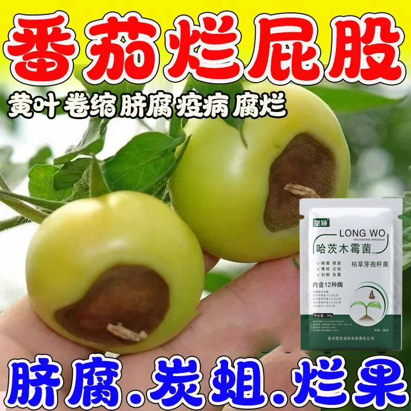 番茄病菌清番茄脐腐病炭疽病专用番茄疫菌清西红柿病害专用叶面肥