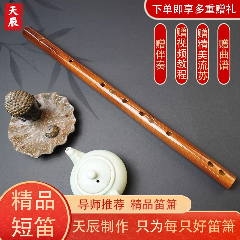 素笛短笛子初学入门竹笛有膜孔笛子天辰乐器出品特价