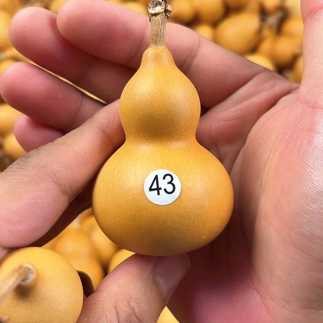 四葫芦葫芦葫芦葫芦43