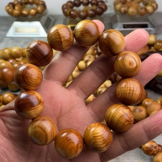 柏木（崖柏）崖柏2.0