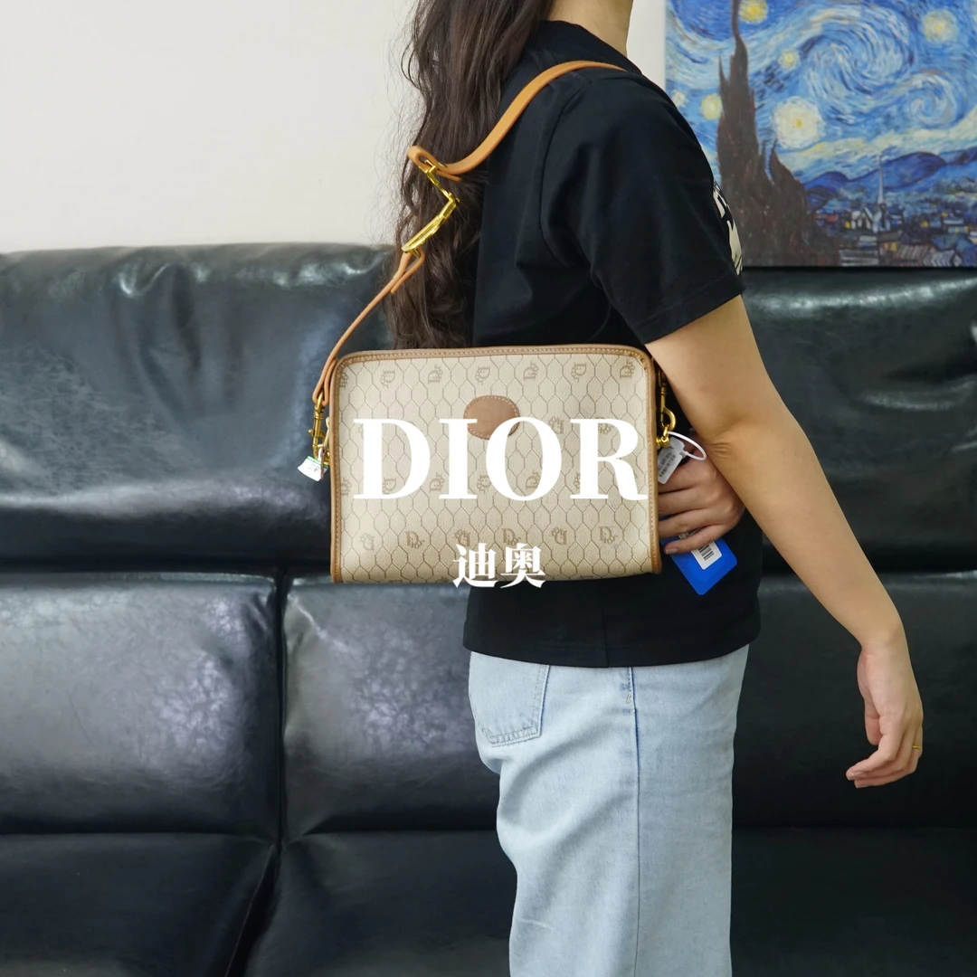 95新 DIOR/迪奥 老花单肩包/WJ05520019/0019