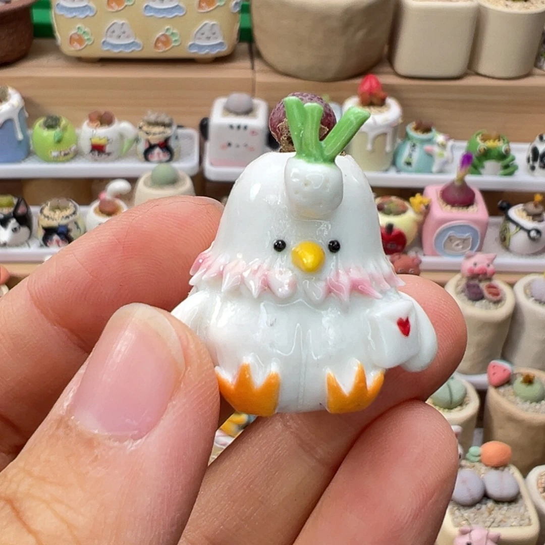 多肉植物107号蒜鸟