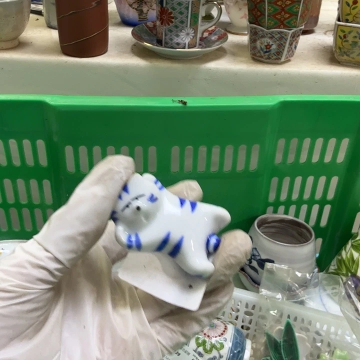 瓷片L****9开播啦…开播啦！