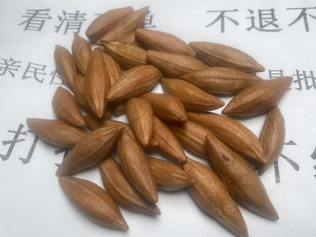 橄榄核素 核老料 柳叶核