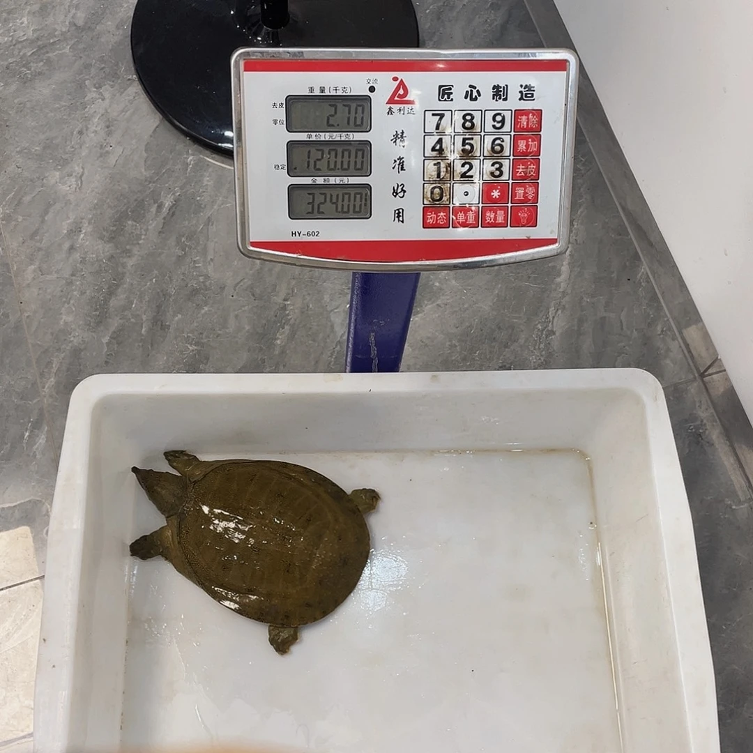 中国大陆56746557467556