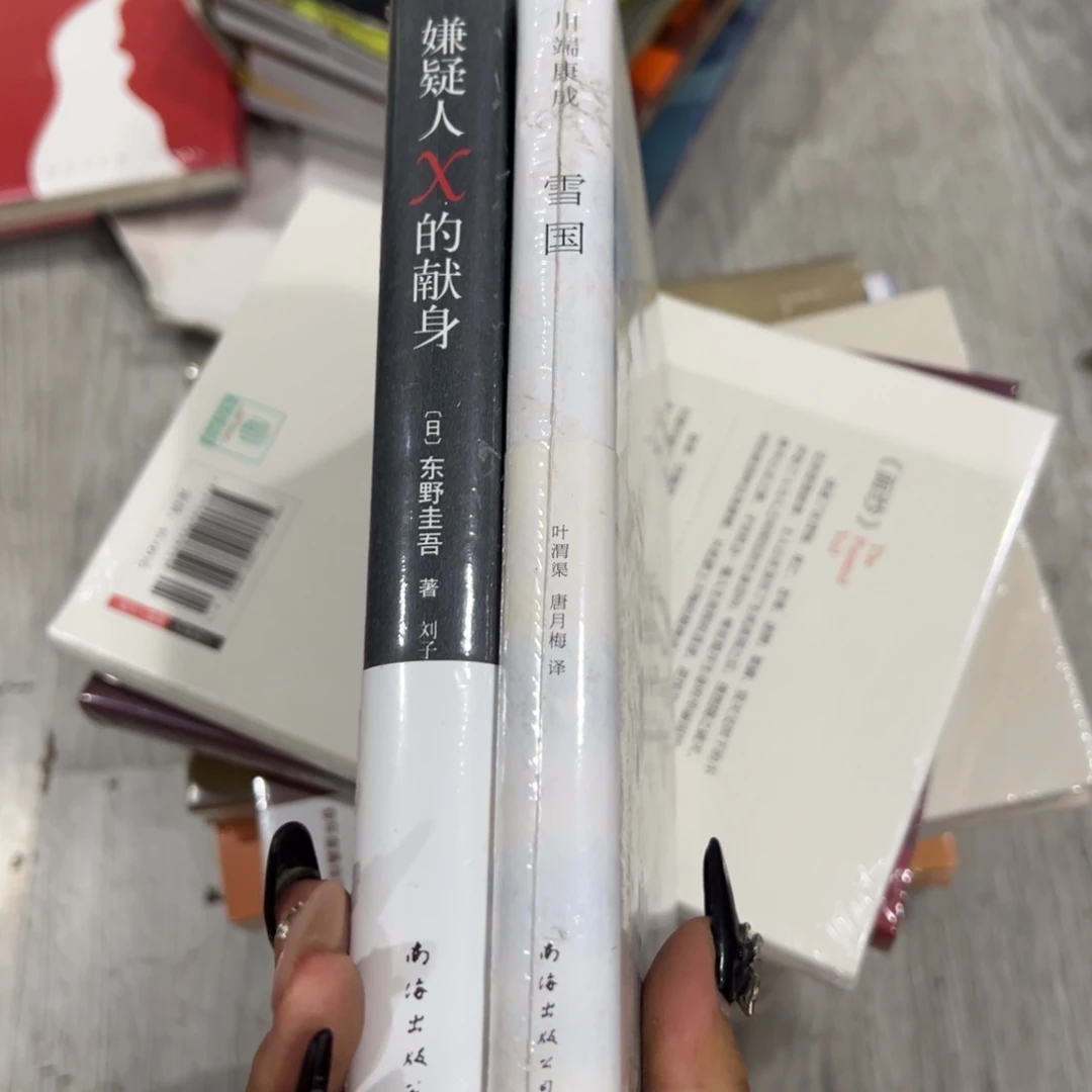 永***M嫌疑人x雪国十七米