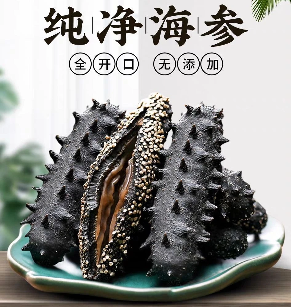 【全开口纯肉干海参】淡干海参纯淡干海参全开口净制款大头高倍泡发