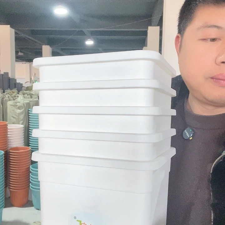 塑料方2号白5个带托