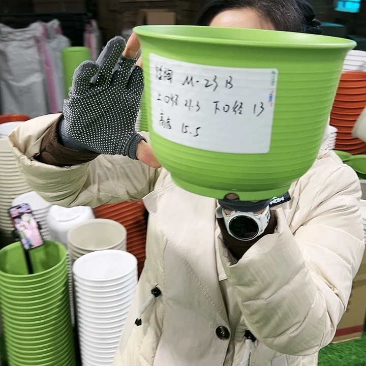 正品矮陶口21高15果绿无托8只