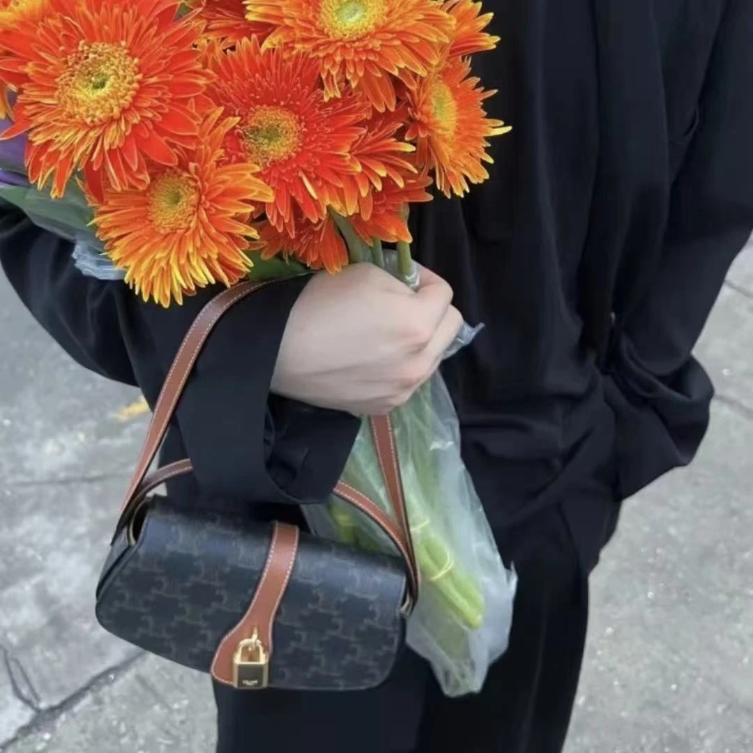 99新 Celine/思琳 瑟琳/单肩包/2267