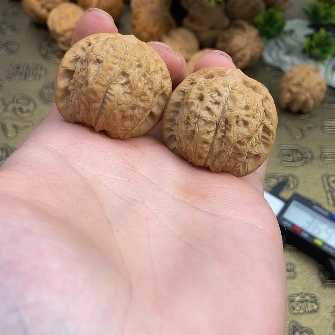 核桃血麒麟37尺寸编号652走色速度快上色好看