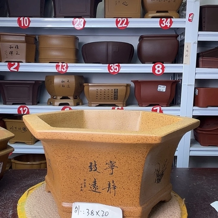 花盆紫砂你在一起