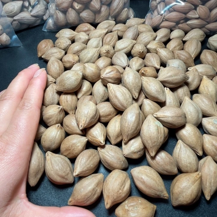 北***咪猪牙手串/手链我是