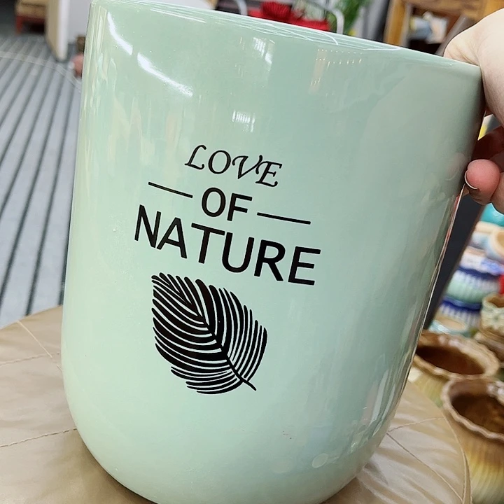 多肉植物陶瓷花盆