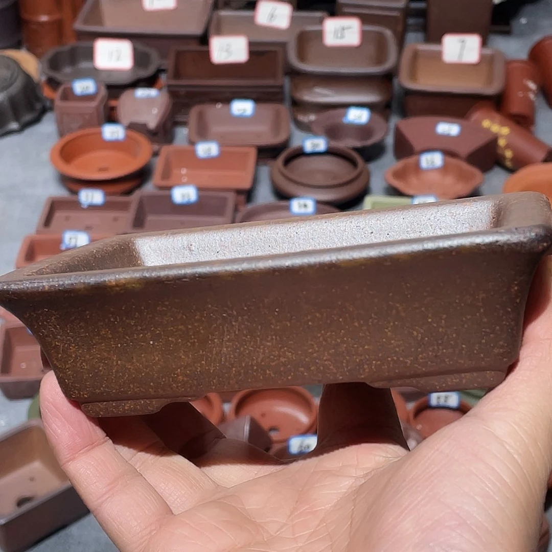 紫砂紫砂小盆12*8.5*3