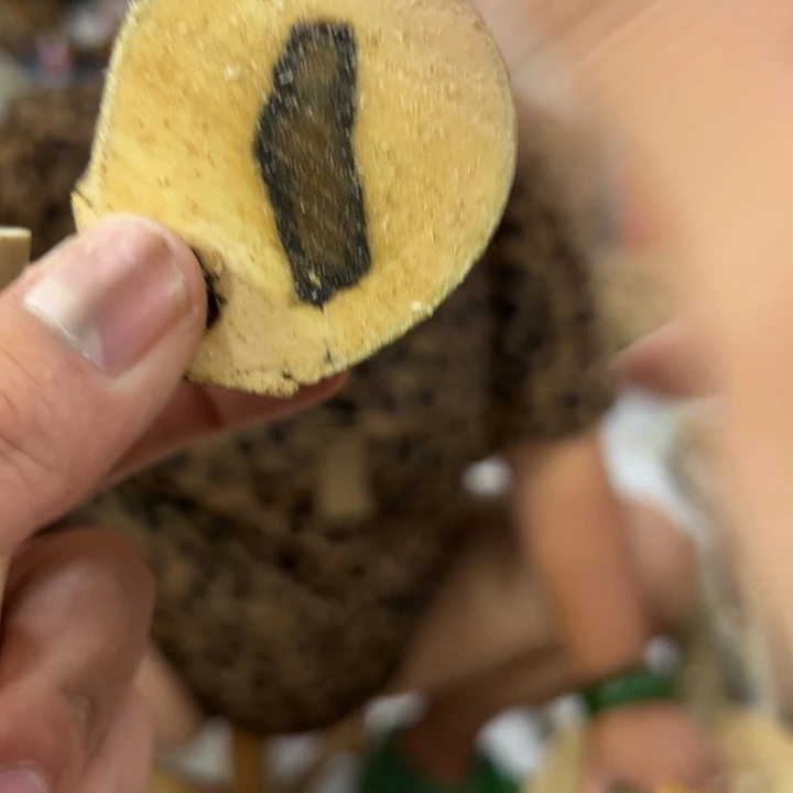 线香奇楠沉香原木