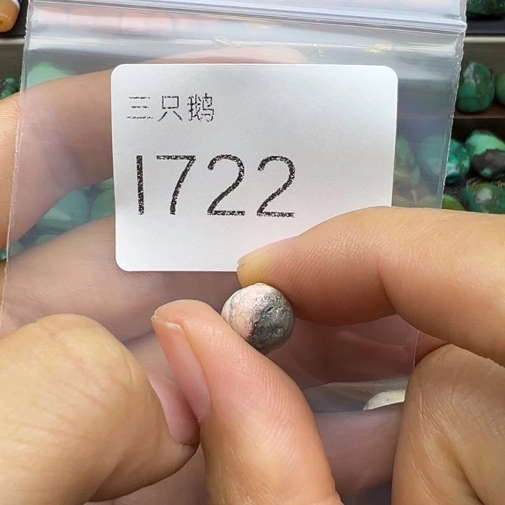 吊坠菩提根/象牙果