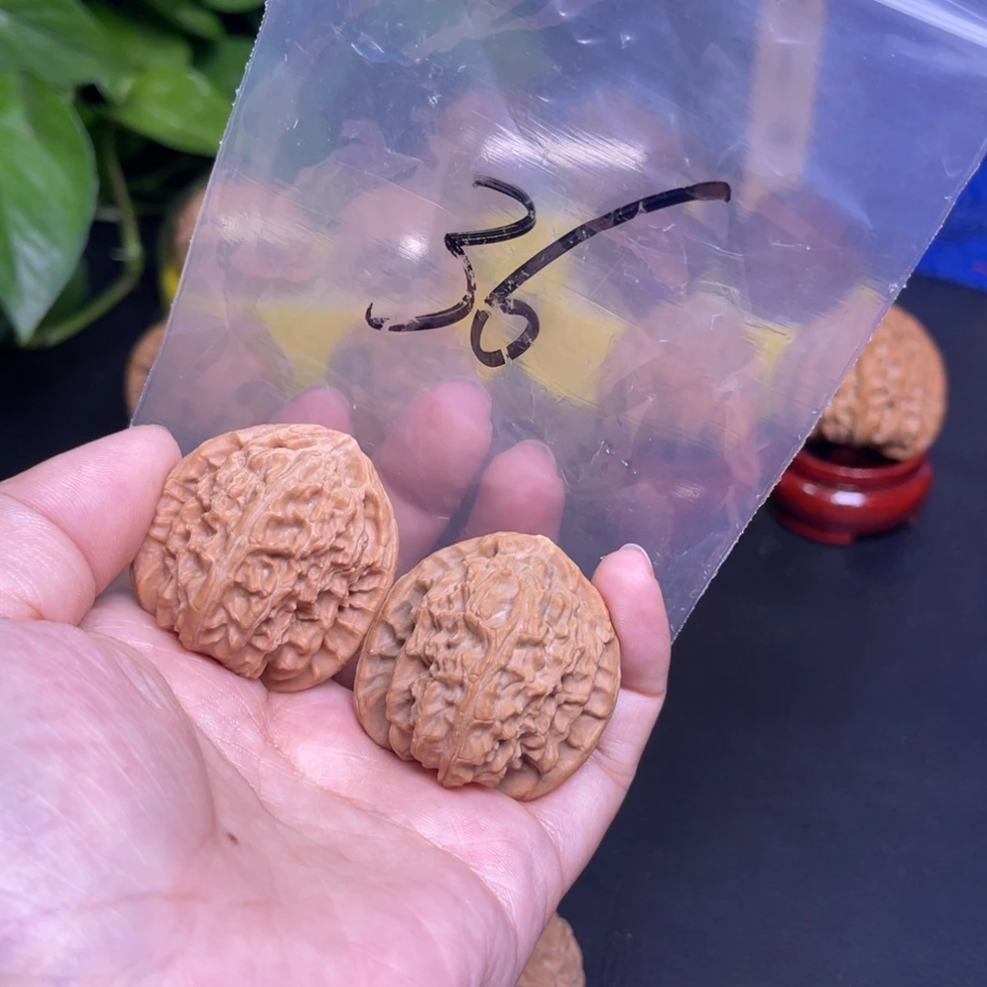 把件文玩核桃白狮子