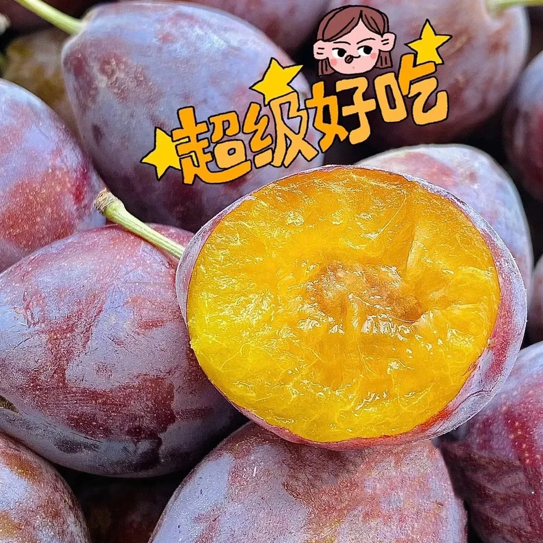 【新到智利进口西梅2斤，2j嘎嘎好吃】包邮到家
