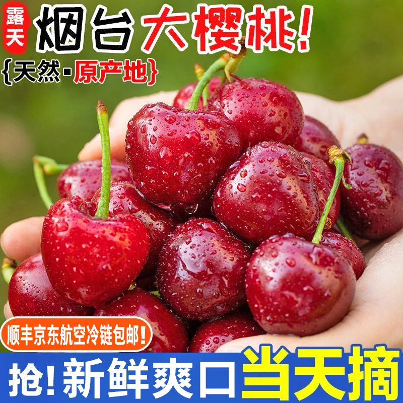 【萨米托】烟台大樱桃新鲜水果国产车厘子山东应季水果当季批发