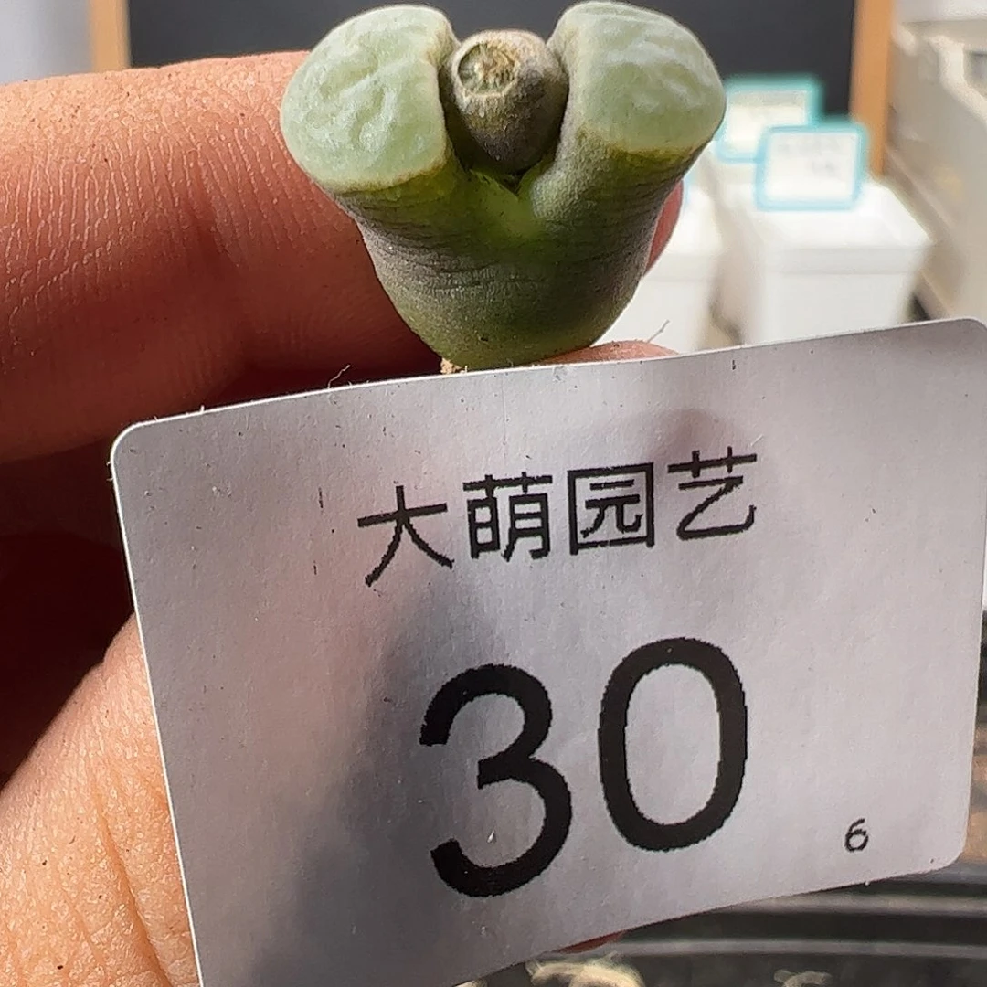 000030 一物一拍……